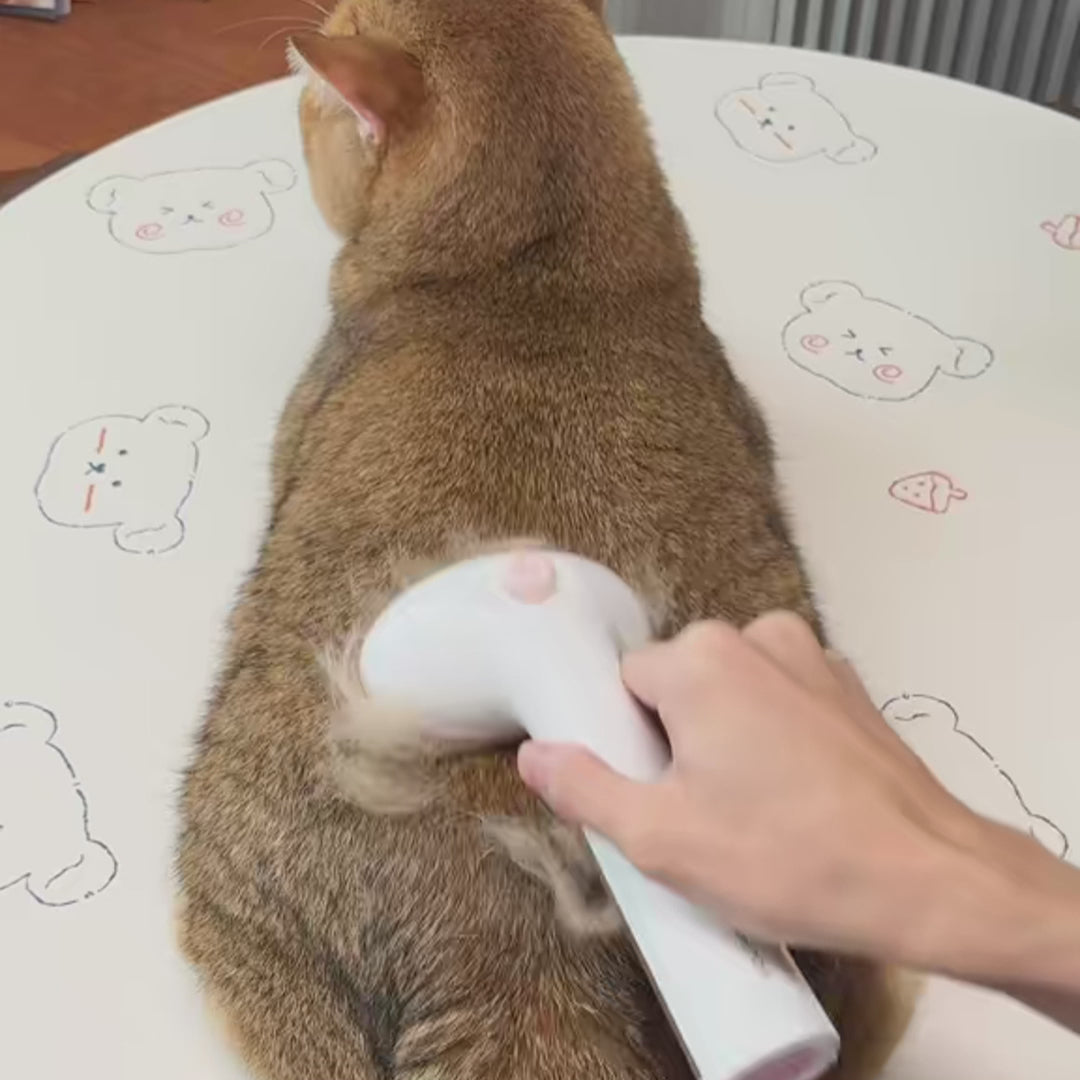 Steam Grooming Brush for Cats & Dogs